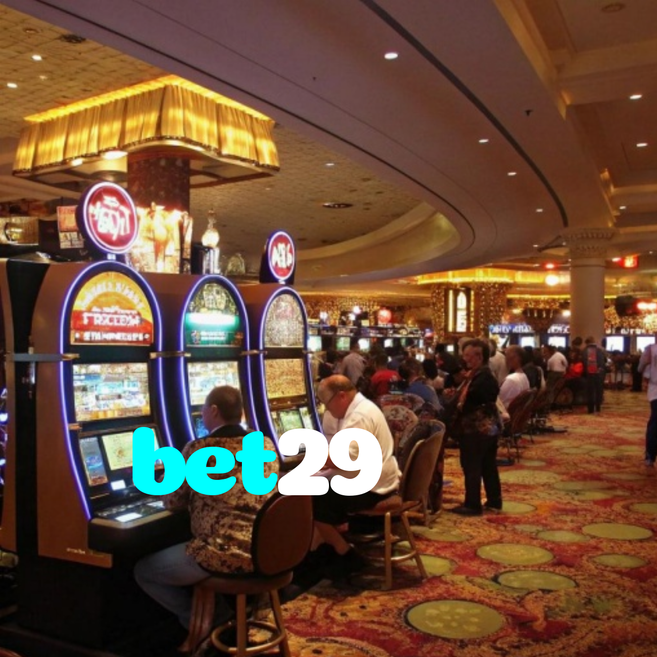 bet29
